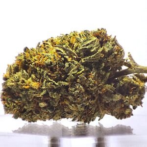 Mandarina – Indoor